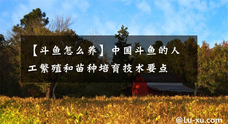 【斗鱼怎么养】中国斗鱼的人工繁殖和苗种培育技术要点