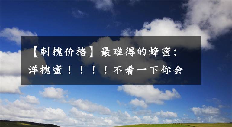 【刺槐价格】最难得的蜂蜜：洋槐蜜！！！！不看一下你会后悔的