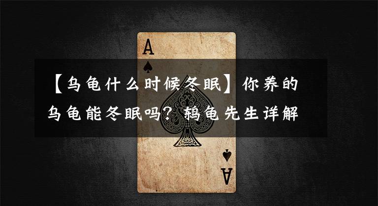【乌龟什么时候冬眠】你养的乌龟能冬眠吗？鸫龟先生详解什么样的乌龟才可以或不能冬眠