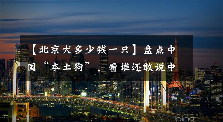 【北京犬多少钱一只】盘点中国“本土狗”，看谁还敢说中国本土没有品种狗