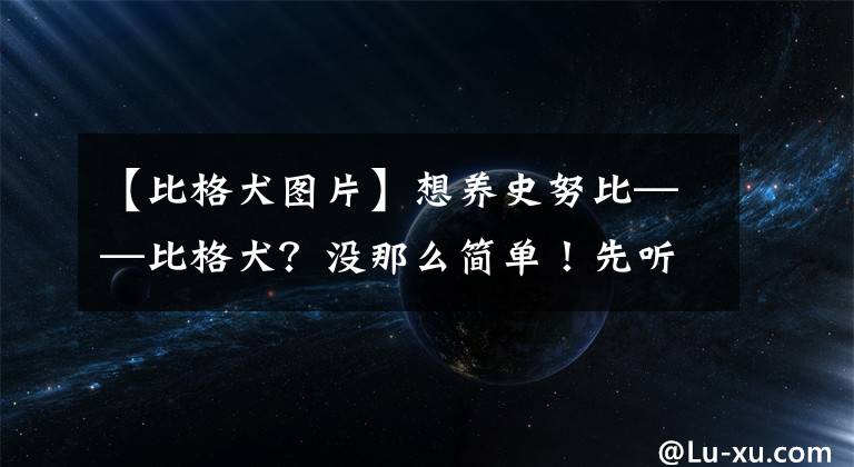 【比格犬图片】想养史努比——比格犬？没那么简单！先听养过的主人一句劝吧