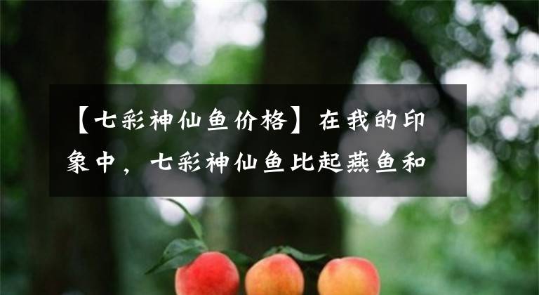 【七彩神仙鱼价格】在我的印象中，七彩神仙鱼比起燕鱼和金鱼，还要容易饲养