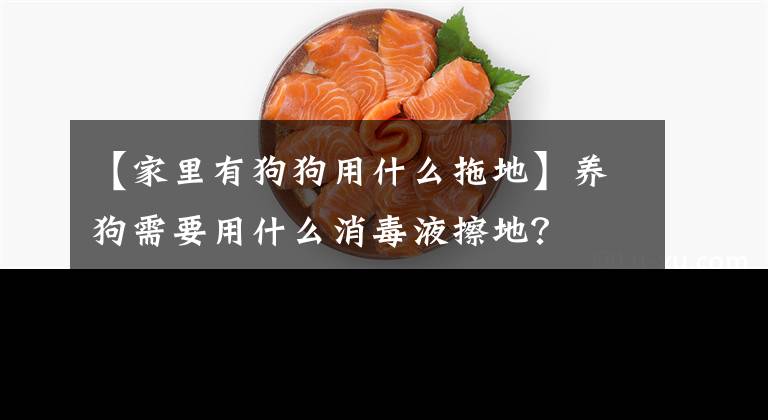 【家里有狗狗用什么拖地】养狗需要用什么消毒液擦地？