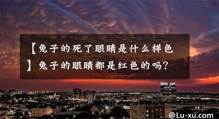 【兔子的死了眼睛是什么样色】兔子的眼睛都是红色的吗？真相被解读了