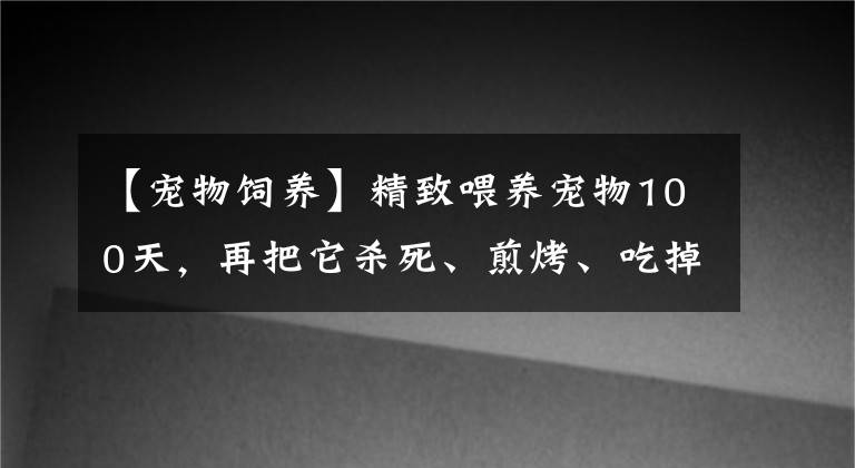 【宠物饲养】精致喂养宠物100天，再把它杀死、煎烤、吃掉…