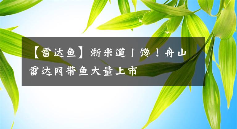 【雷达鱼】浙米道丨馋！舟山雷达网带鱼大量上市