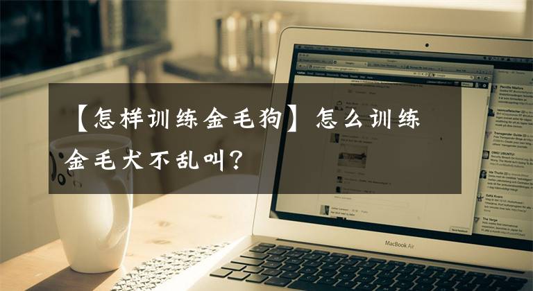 【怎样训练金毛狗】怎么训练金毛犬不乱叫？