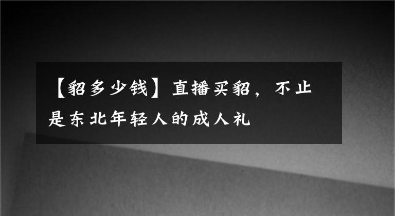 【貂多少钱】直播买貂，不止是东北年轻人的成人礼