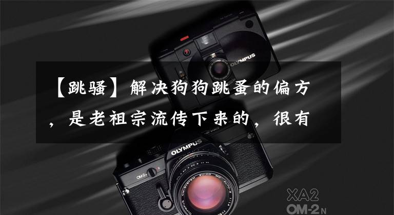 【跳骚】解决狗狗跳蚤的偏方，是老祖宗流传下来的，很有用