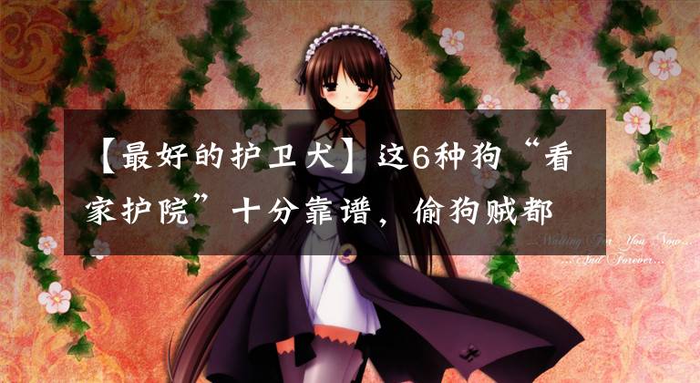 【最好的护卫犬】这6种狗“看家护院”十分靠谱，偷狗贼都绕路走