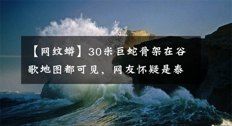 【网纹蟒】30米巨蛇骨架在谷歌地图都可见，网友怀疑是泰坦蟒，真相是什么？