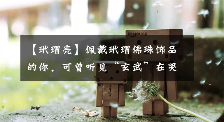 【玳瑁壳】佩戴玳瑁佛珠饰品的你，可曾听见“玄武”在哭泣？