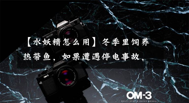 【水妖精怎么用】冬季里饲养热带鱼，如果遭遇停电事故，氧气泵才是我们的必备之物