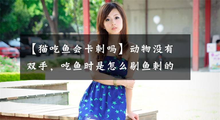 【猫吃鱼会卡刺吗】动物没有双手，吃鱼时是怎么剔鱼刺的？它们不会被卡住吗？