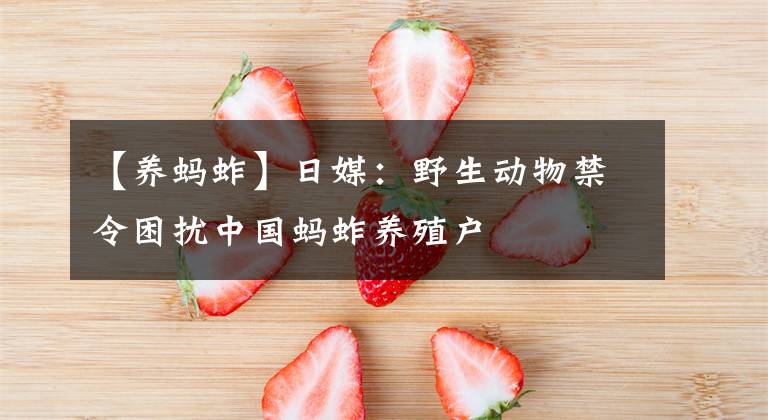 【养蚂蚱】日媒：野生动物禁令困扰中国蚂蚱养殖户