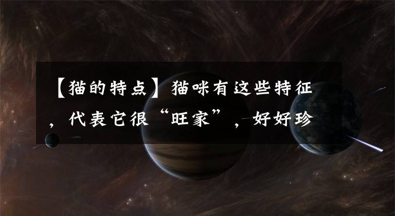 【猫的特点】猫咪有这些特征，代表它很“旺家”，好好珍惜吧