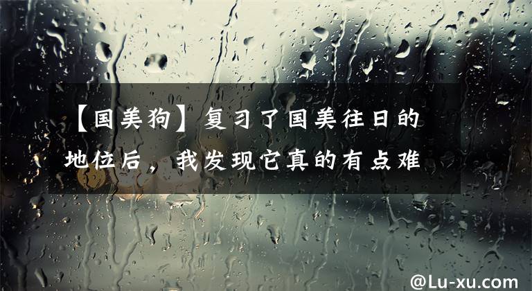 【国美狗】复习了国美往日的地位后，我发现它真的有点难…