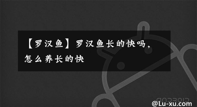 【罗汉鱼】罗汉鱼长的快吗，怎么养长的快
