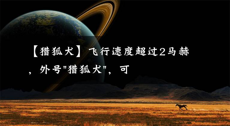 【猎狐犬】飞行速度超过2马赫，外号"猎狐犬"，可以拦截战斧巡航导弹