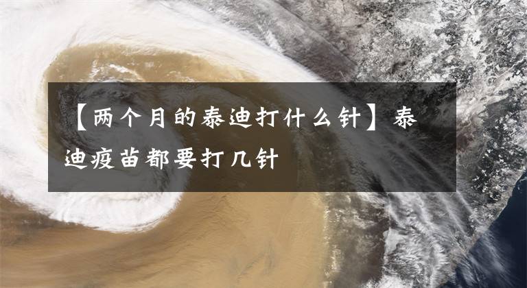 【两个月的泰迪打什么针】泰迪疫苗都要打几针