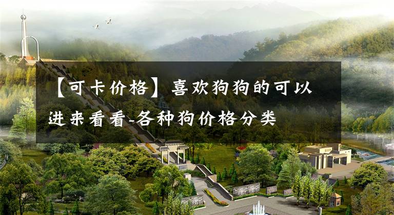 【可卡价格】喜欢狗狗的可以进来看看-各种狗价格分类