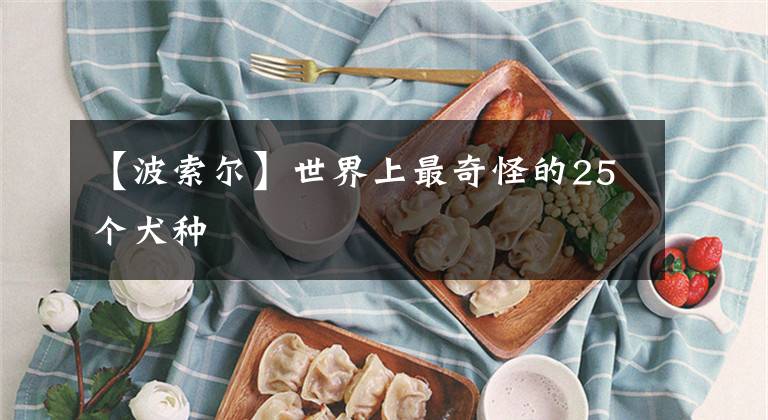 【波索尔】世界上最奇怪的25个犬种