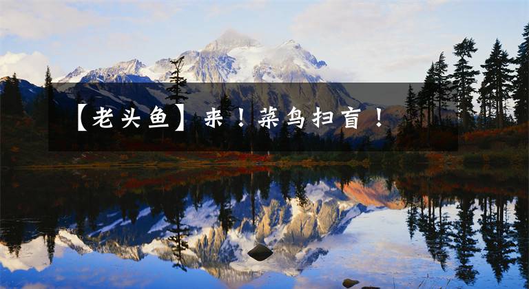 【老头鱼】来！菜鸟扫盲！