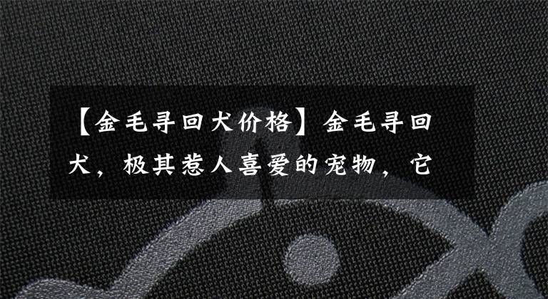 【金毛寻回犬价格】金毛寻回犬，极其惹人喜爱的宠物，它有你不知道的一面