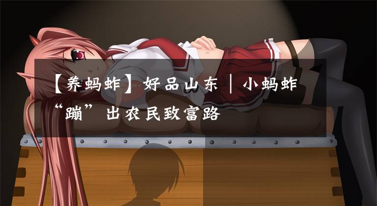 【养蚂蚱】好品山东｜小蚂蚱“蹦”出农民致富路