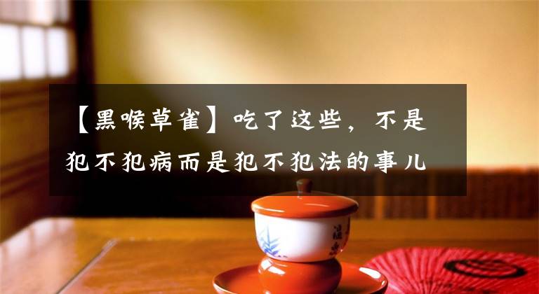 【黑喉草雀】吃了这些，不是犯不犯病而是犯不犯法的事儿了