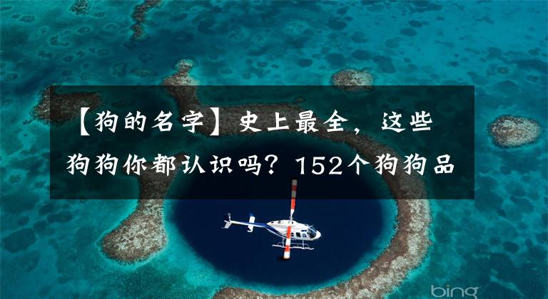 【狗的名字】史上最全，这些狗狗你都认识吗？152个狗狗品种及介绍