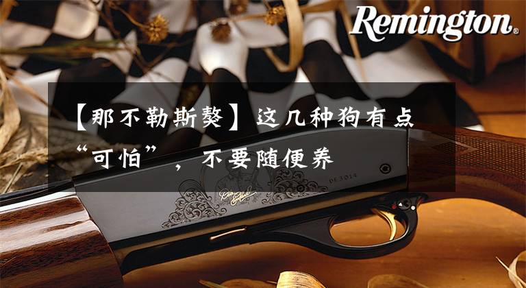 【那不勒斯獒】这几种狗有点“可怕”，不要随便养