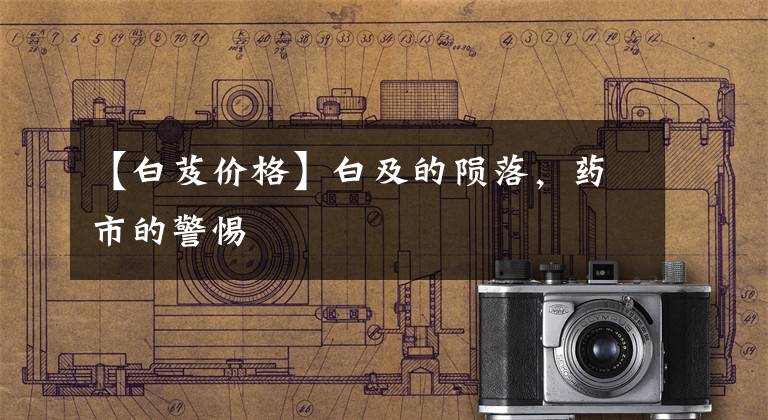 【白芨价格】白及的陨落，药市的警惕