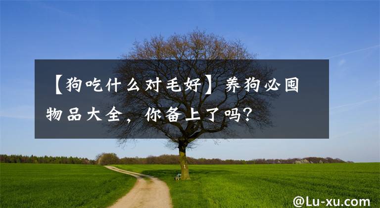 【狗吃什么对毛好】养狗必囤物品大全，你备上了吗？