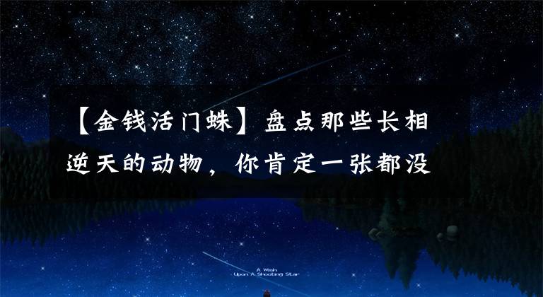 【金钱活门蛛】盘点那些长相逆天的动物，你肯定一张都没见过