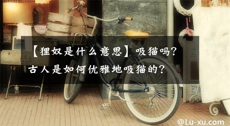 【狸奴是什么意思】吸猫吗？古人是如何优雅地吸猫的？
