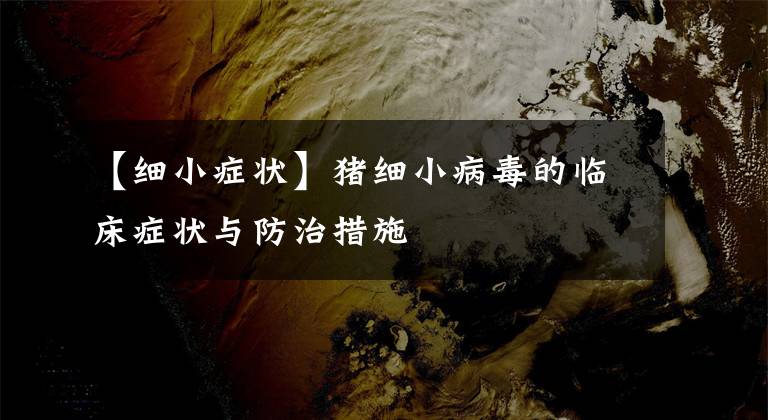 【细小症状】猪细小病毒的临床症状与防治措施