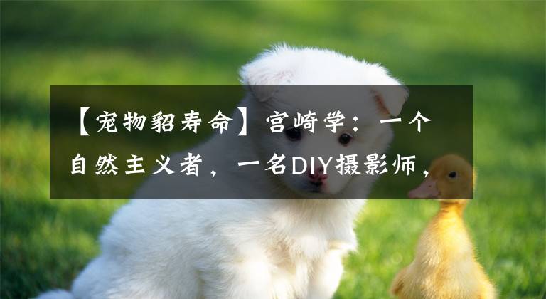 【宠物貂寿命】宫崎学：一个自然主义者，一名DIY摄影师，一位密林侦探