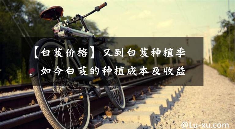 【白芨价格】又到白芨种植季，如今白芨的种植成本及收益情况如何？