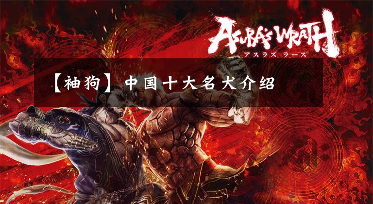 【袖狗】中国十大名犬介绍