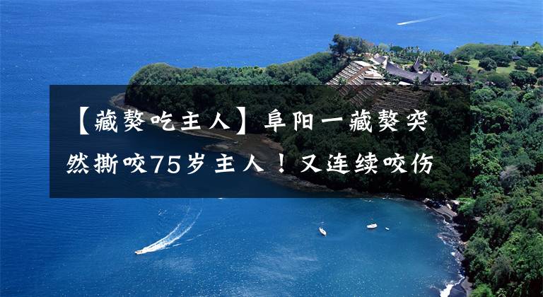 【藏獒吃主人】阜阳一藏獒突然撕咬75岁主人！又连续咬伤其他4人！被现场击毙