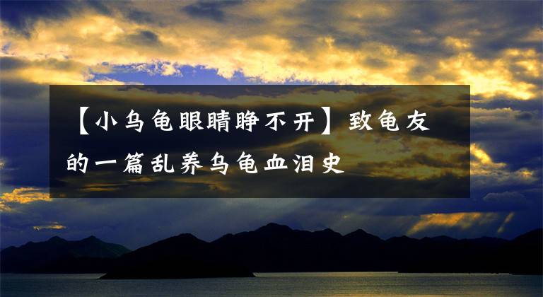 【小乌龟眼睛睁不开】致龟友的一篇乱养乌龟血泪史