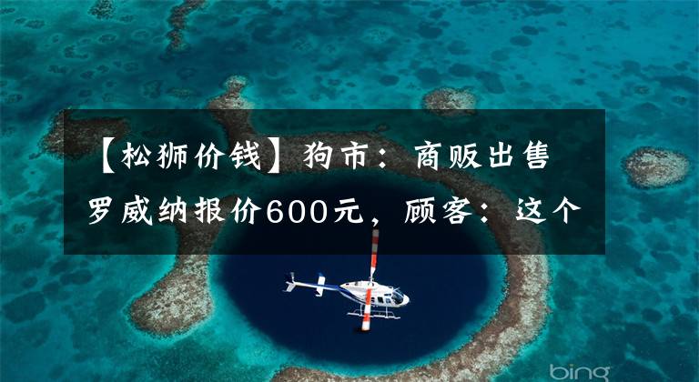 【松狮价钱】狗市：商贩出售罗威纳报价600元，顾客：这个价我还不如买马犬！