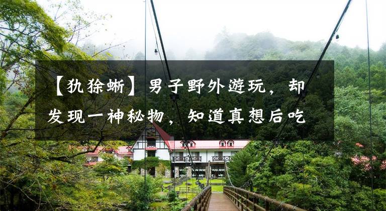 【犰狳蜥】男子野外游玩，却发现一神秘物，知道真想后吃一惊！