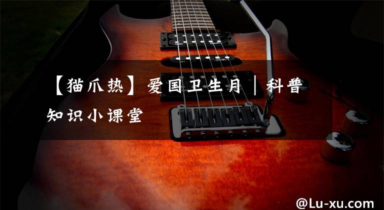 【猫爪热】爱国卫生月｜科普知识小课堂