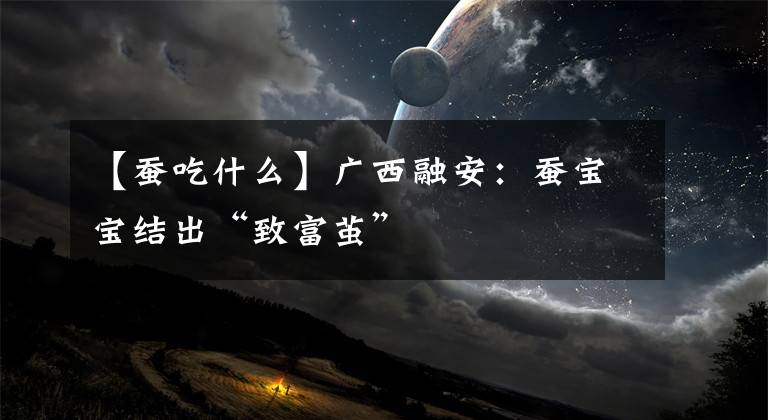 【蚕吃什么】广西融安：蚕宝宝结出“致富茧”
