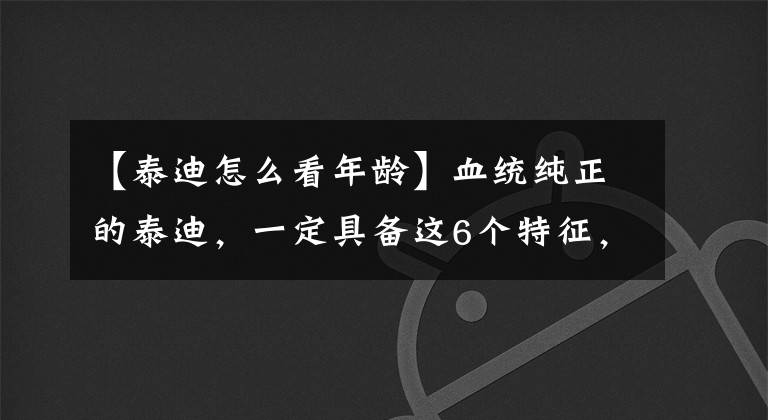 【泰迪怎么看年龄】血统纯正的泰迪，一定具备这6个特征，很多铲屎官还不知道