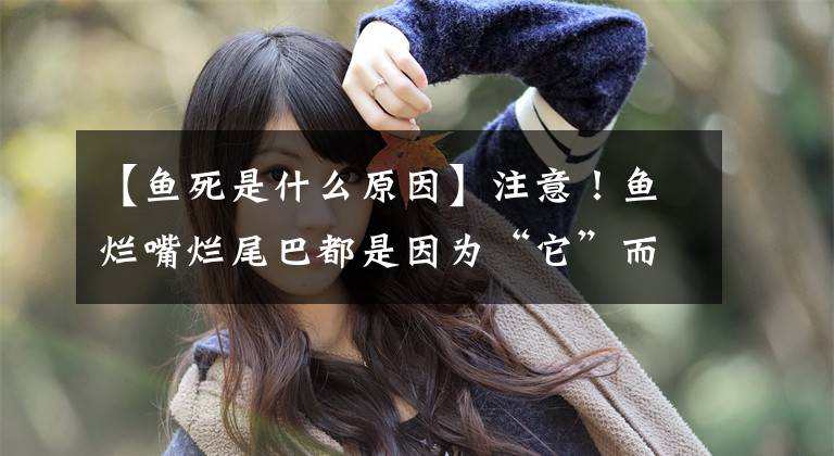 【鱼死是什么原因】注意！鱼烂嘴烂尾巴都是因为“它”而产生的！养殖户小心翼翼