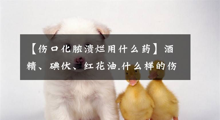 【伤口化脓溃烂用什么药】酒精、碘伏、红花油.什么样的伤口处理比较好？