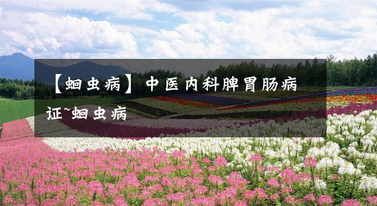 【蛔虫病】中医内科脾胃肠病证~蛔虫病